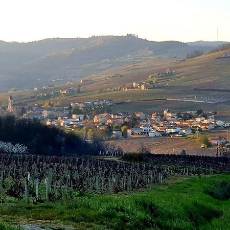 Au Coeur Des Vignes Chenas Du Beaujolais Διαμέρισμα La Chapelle-de-Guinchay Εξωτερικό φωτογραφία