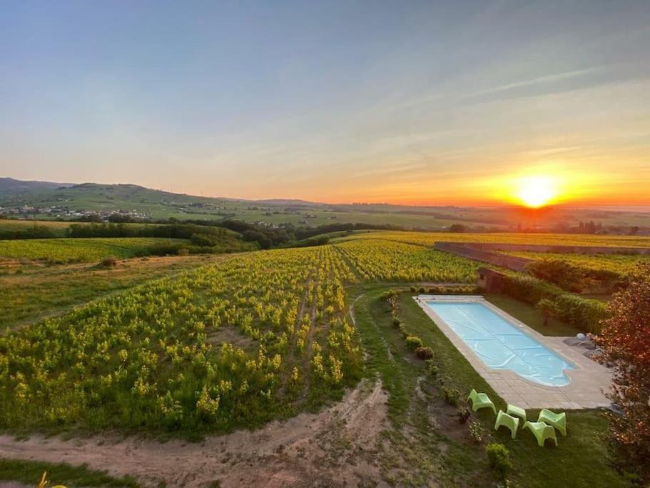 Au Coeur Des Vignes Chenas Du Beaujolais Διαμέρισμα La Chapelle-de-Guinchay Εξωτερικό φωτογραφία