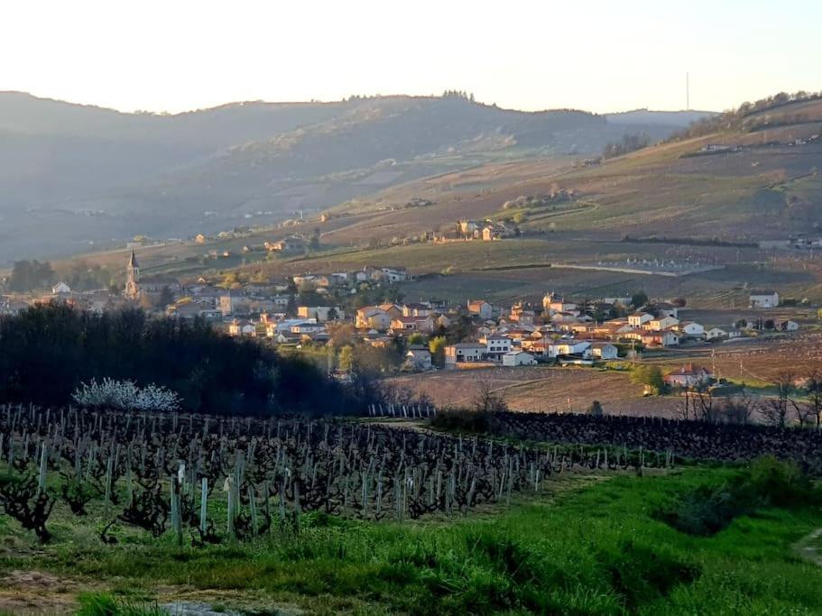 Au Coeur Des Vignes Chenas Du Beaujolais Διαμέρισμα La Chapelle-de-Guinchay Εξωτερικό φωτογραφία